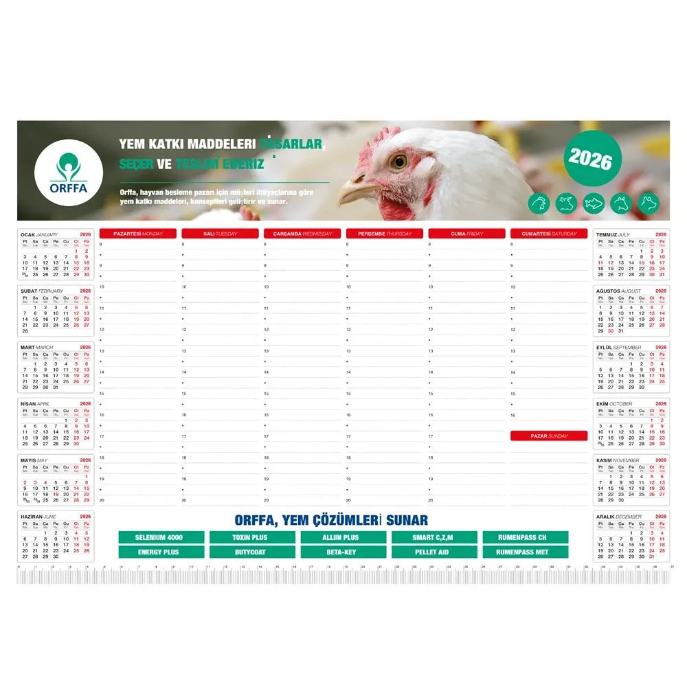 Promosyon MS-20-48x34 Tarihsiz Masa Sümeni - Kıranay Basım